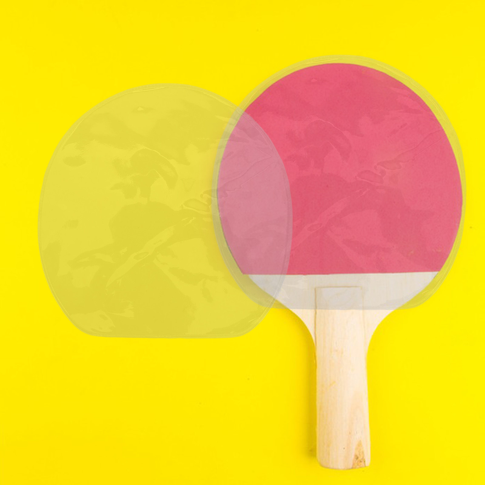 10Pcs Table Tennis Racket Prot - Table Tennis Protective Cover ulasan dan harga